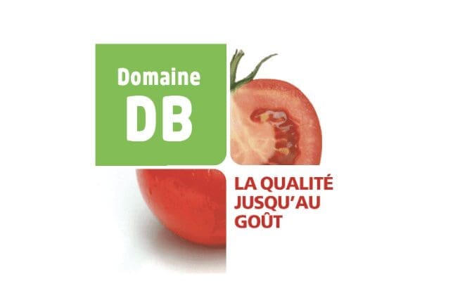 Domaine DB Odoo Grand Frais